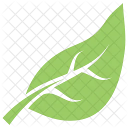 Simple Leaf  Icon