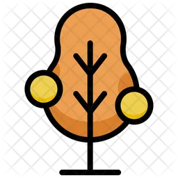 Simple orange tree  Icon