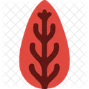 Seaweed Red Seaweed Gracilaria Icon