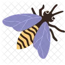 Bee Honeybee Insect Icon