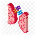 Sincronização cerebral  Ícone