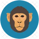 Singe Chimpanze Mammifere Icône