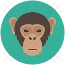 Singe Chimpanze Animal Sauvage Icône
