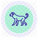 Singe Icône