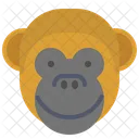Sourire De Singe Icône