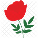 Single Rose Rose Blossom Floral Bloom Icon