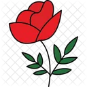 Single Rose Rose Blossom Floral Bloom Icon