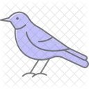 Sinsonte Pajaro Canto Icono