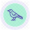 Sinsonte Pajaro Canto Icono