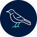 Sinsonte Pajaro Canto Icono