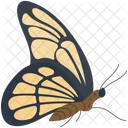 Siproeta Wildlife Hexapod Icon