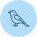 Siskin Bird Finch Icon