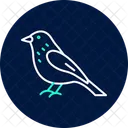 Siskin Bird Finch Icon