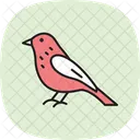 Siskin Bird Finch Icon