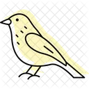 Siskin Bird Finch Icon
