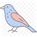 Siskin Bird Finch Icon