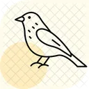 Siskin Bird Finch Icon