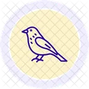 Siskin Bird Finch Icon