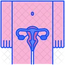 Sistema Reprodutivo Utero Ovario Ícone