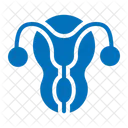 Sistema Reprodutivo Utero Anatomia Ícone