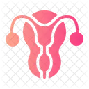 Sistema Reprodutivo Utero Anatomia Ícone