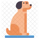 Sit  Icône