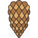 Sitka Spruce Cone Icon