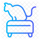 Sitting Cat Cat Veterinary Icon
