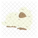 Sitting Sheep Sheep Lamb Icon