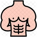 Six Pack Muscle Stomach Icon