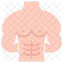 Six Pack Muscle Stomach Icon