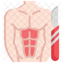 Six Pack Surgery  Icon