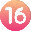 Sixteen Count Counting Icon
