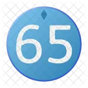 Sixty Five Coin Crystal Icon