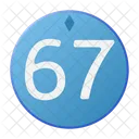 Sixty Seven Coin Crystal Icon