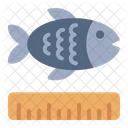 Size Fish Measurement Icon