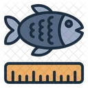 Size Fish Measurement Icon