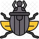 Skarabaus Kafer Agyptische Symbol