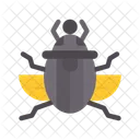 Skarabaus Kafer Agyptische Symbol
