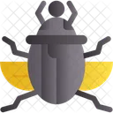 Skarabaus Kafer Agyptische Symbol