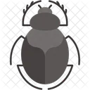 Skarabaus Symbolisch Tierreich Symbol