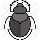 Skarabaus Symbolisch Tierreich Symbol