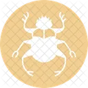 Skarabäus  Symbol
