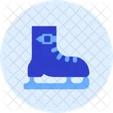 Skate Streamline Kameleon Icon