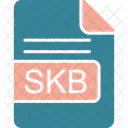 Skb File Format Icon