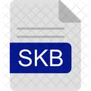 Skb File Format Icon