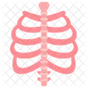 Skeletal System Bones Skeleton Icon
