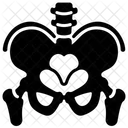 Skeletal System Skeleton Bones Icon