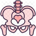 Skeletal System Organ Skeleton Icon