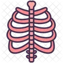 Skeletal System Bones Internal Icon